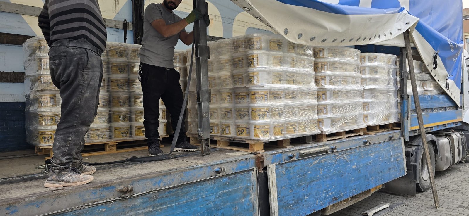 الفيتامينات