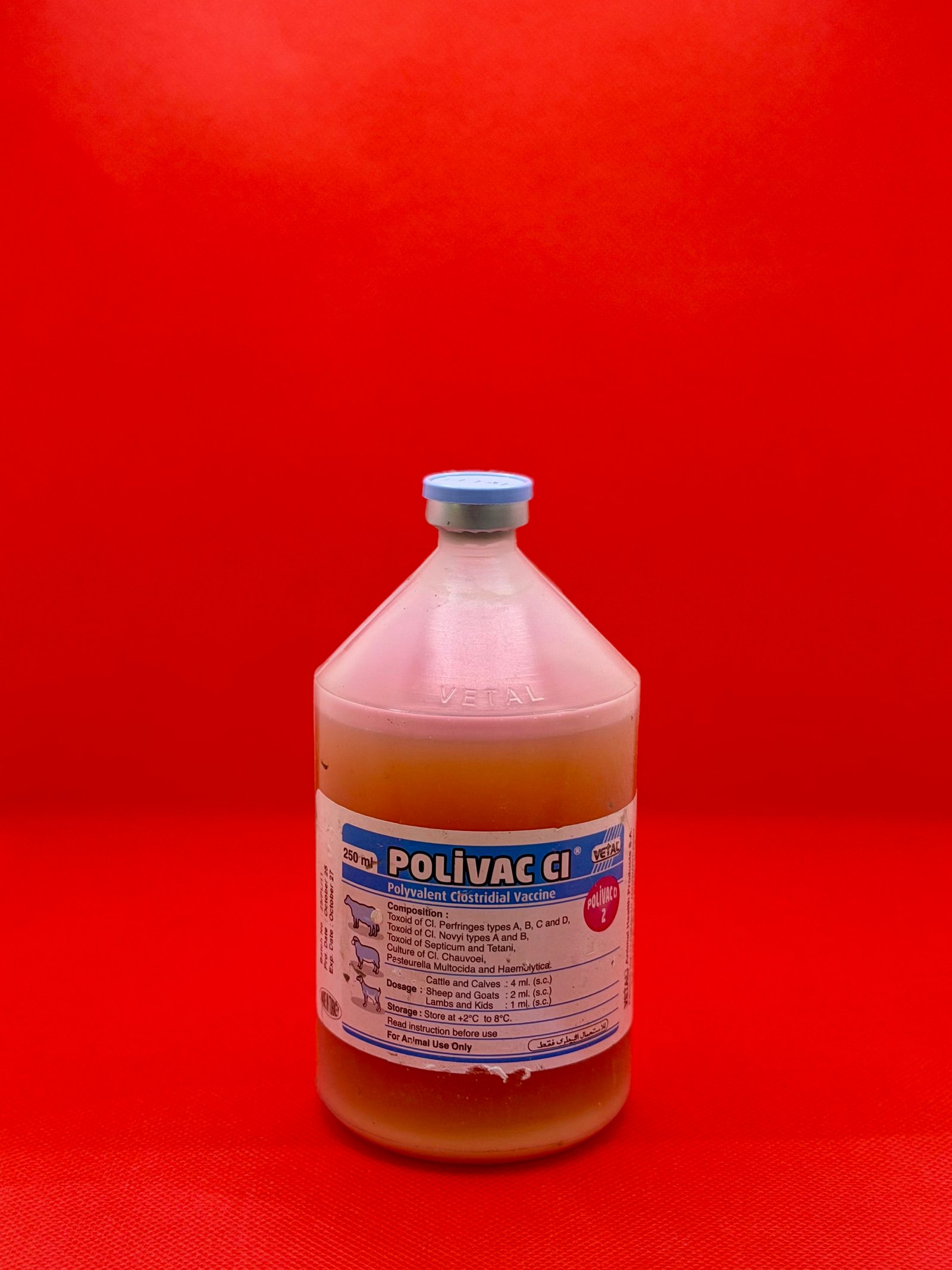 لقاح تسمم معوي - POLIVAC 2