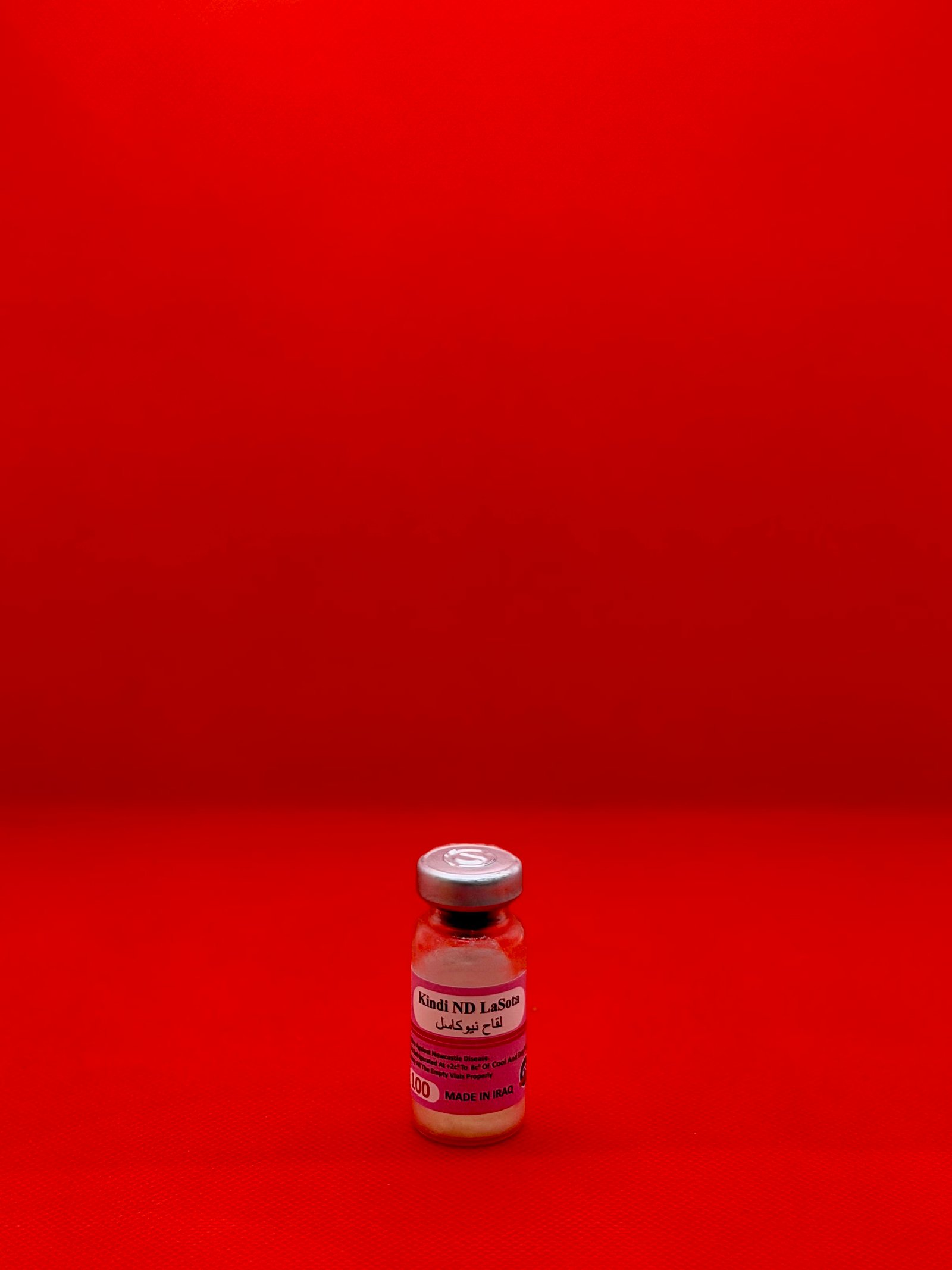 نيوكاسل - الكندي