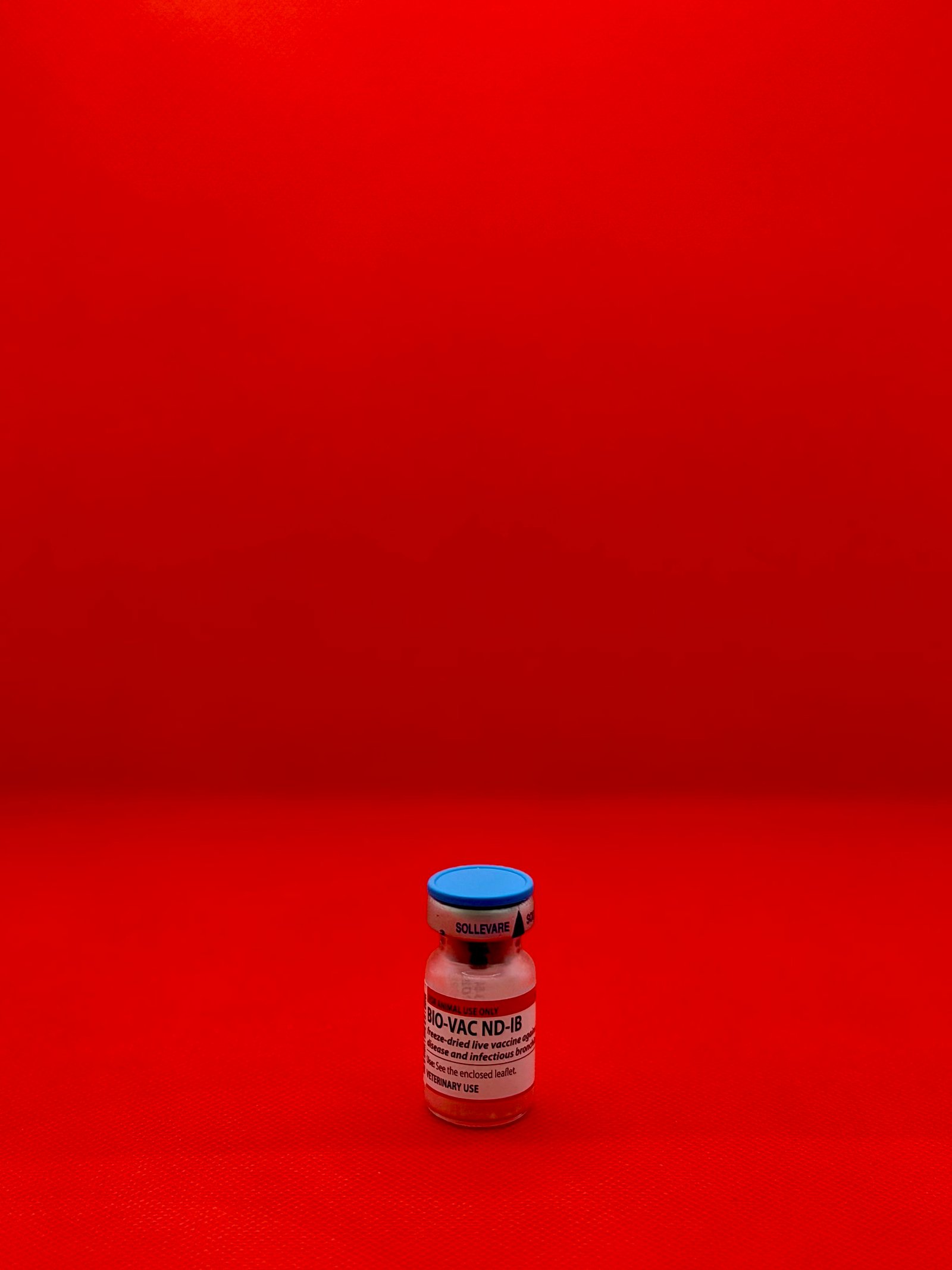 لقاح ND+ IB ايطالي